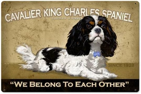 Retro Metal Tin Sign Cavalier  - Home Decor Shop 评论和价格