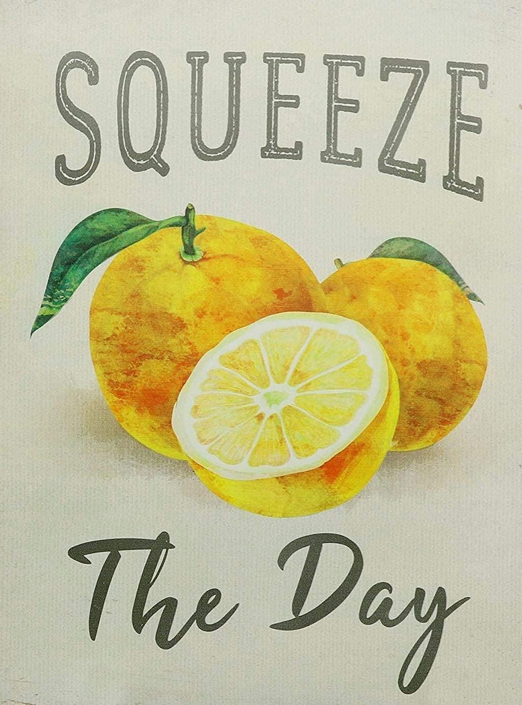Starotore Squeeze The Day Vint - Home Decor Shop 评论和价格