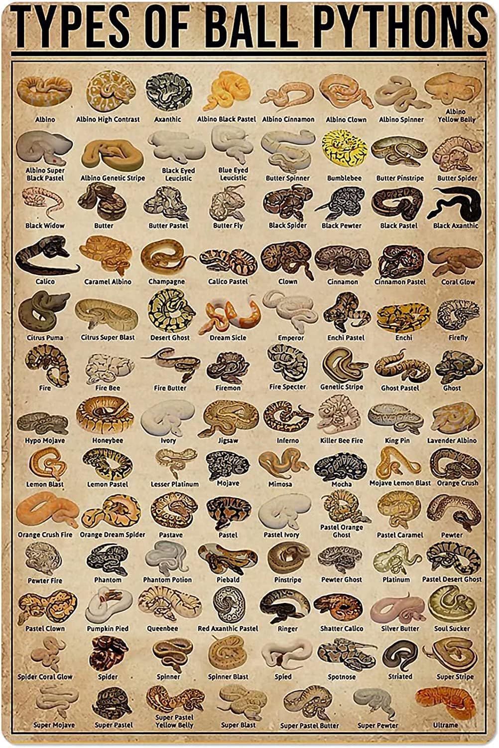 Retro Metal Tin Sign Types of  - Home Decor Shop 评论和价格
