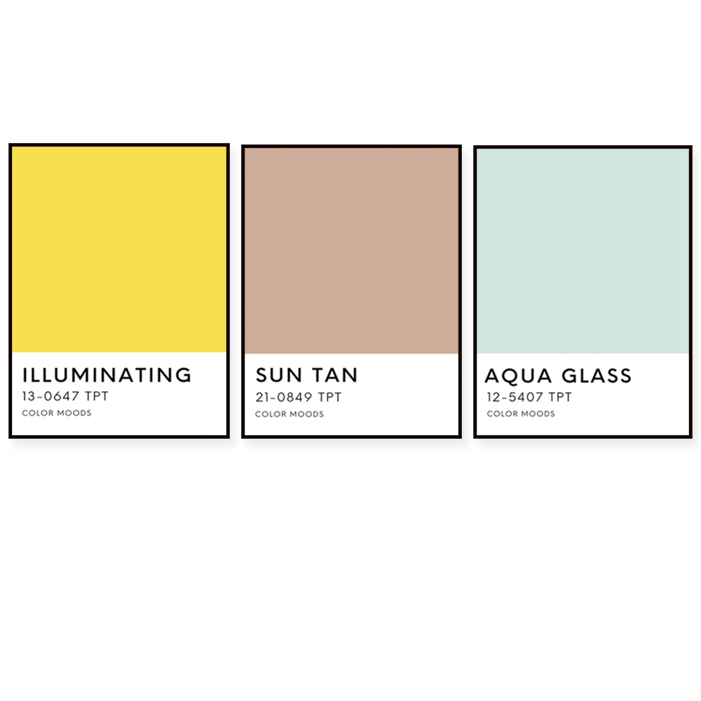 Sunshine state palette color p - Home Decor Color Palettes 评论和价格