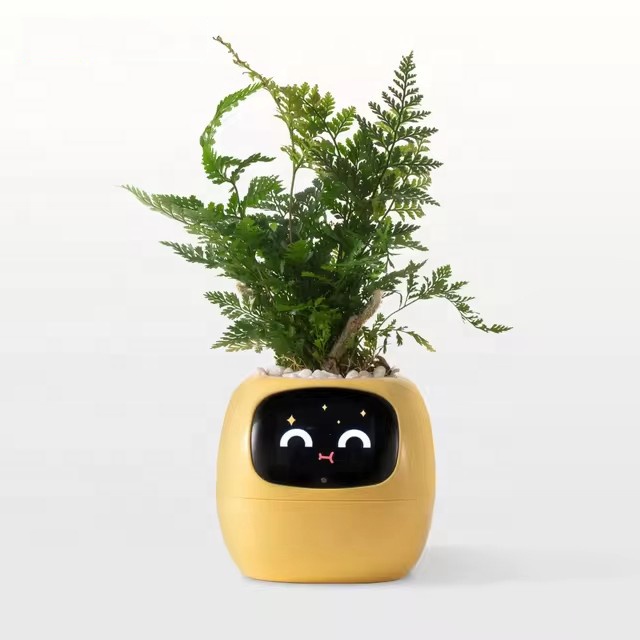 YY Wifi Ai Planter Watering Re - Home Decor Ai 评论和价格